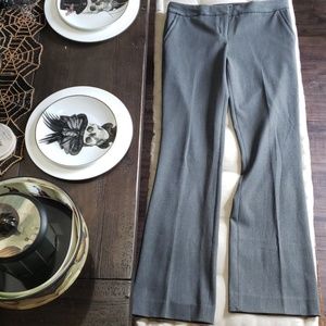 Express Dark Grey Flare Slacks NWT